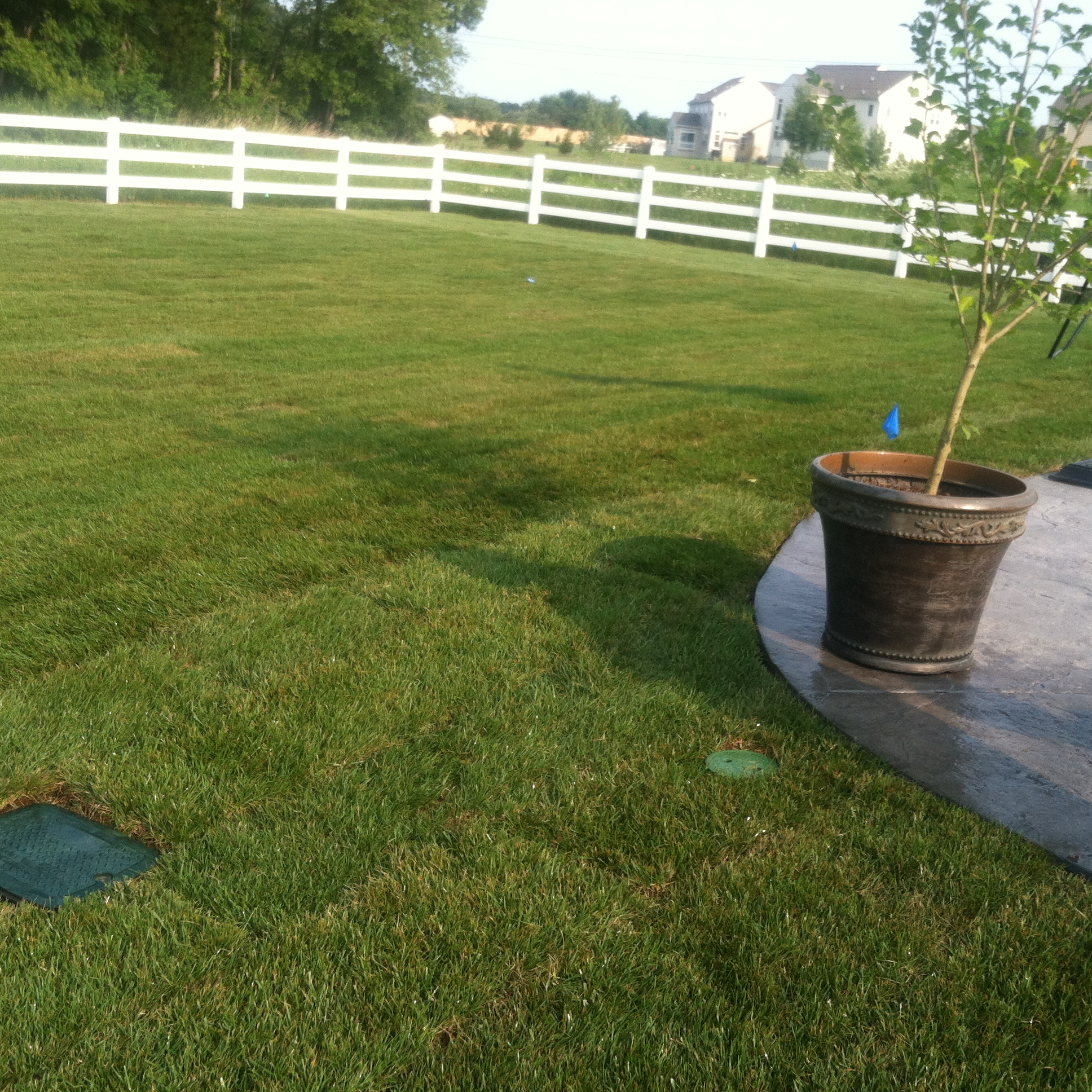 rear yard